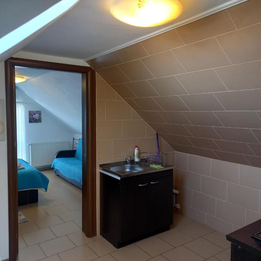 Charter Apartments Costea Sibiu Buitenkant foto