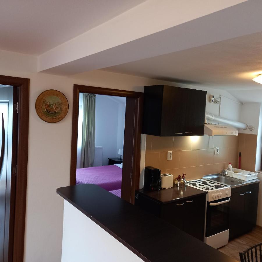 Charter Apartments Costea Sibiu Buitenkant foto