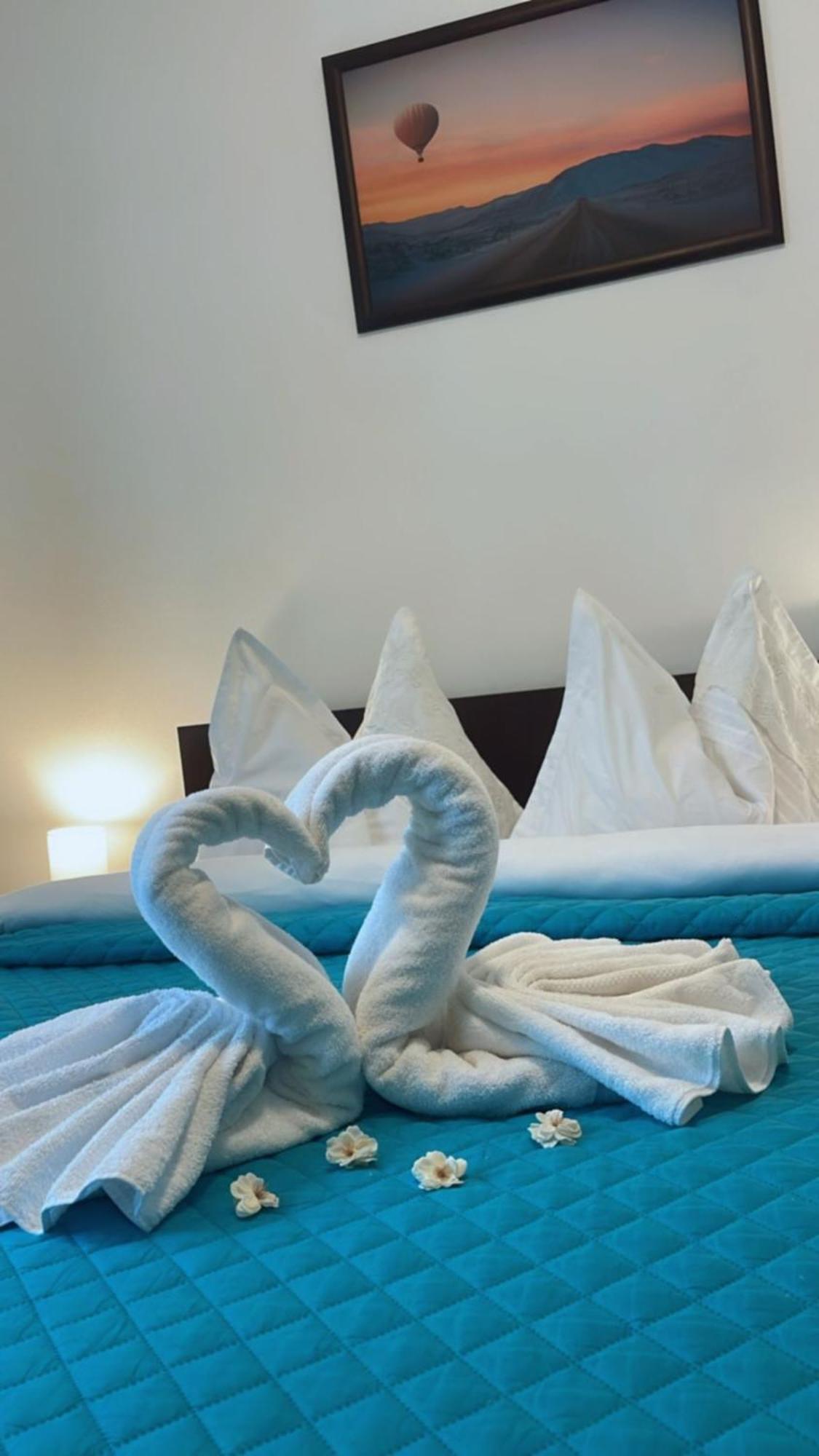 Charter Apartments Costea Sibiu Buitenkant foto