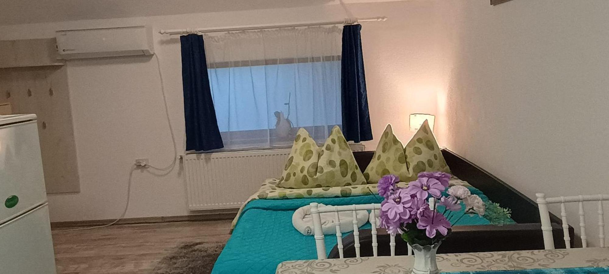 Charter Apartments Costea Sibiu Buitenkant foto