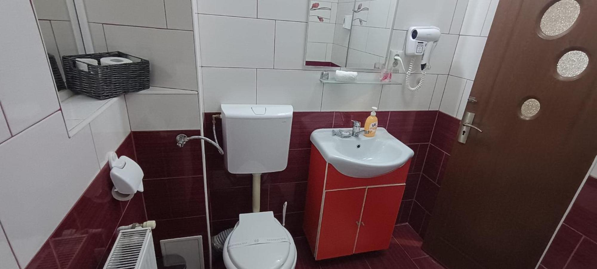 Charter Apartments Costea Sibiu Buitenkant foto